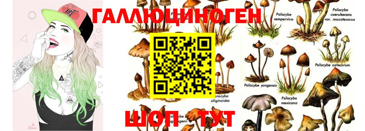 Галлюциногенные грибы MAGIC MUSHROOMS Ангарск
